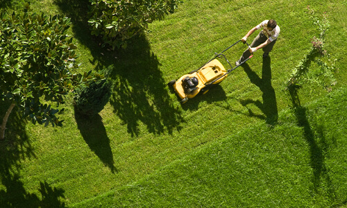 Aerial view of man mowing lawn.